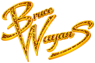 Bruce Wayans glitter-3 (2)